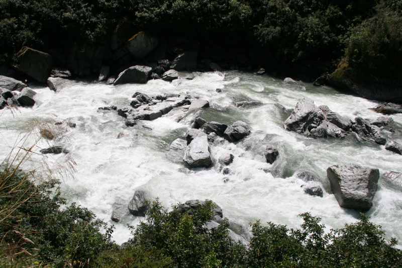 Nieuw-Zeeland 2011 - 1566